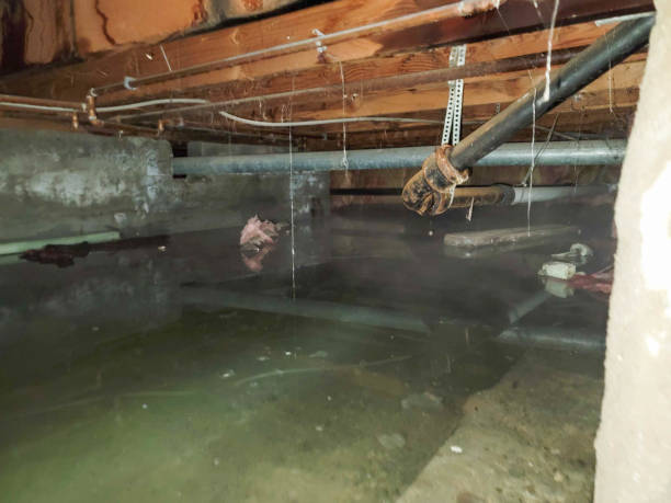 Best Flood damage cleanup  in Treasure Lake, PA