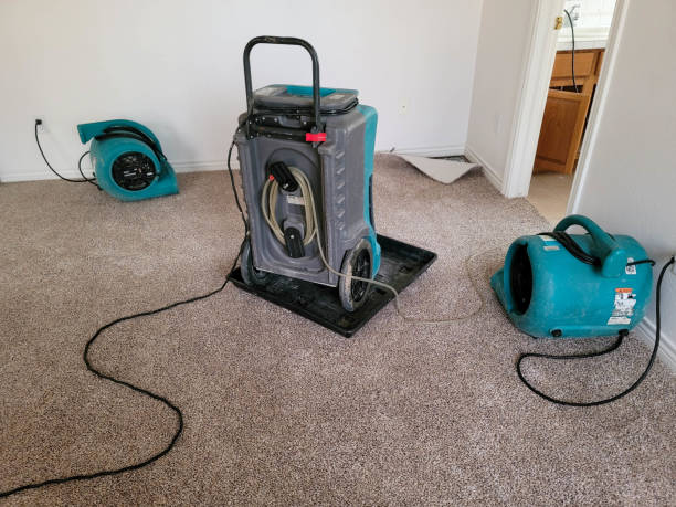 Best Water damage restoration insurance claims  in Treasure Lake, PA