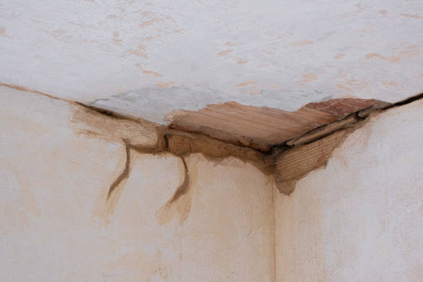 Best 24/7 water damage repair  in Treasure Lake, PA