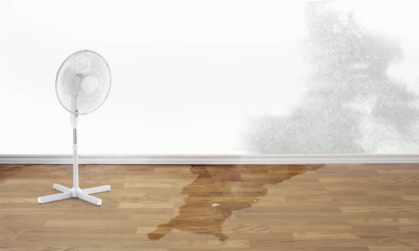 Best Sewage cleanup and water damage restoration  in Treasure Lake, PA