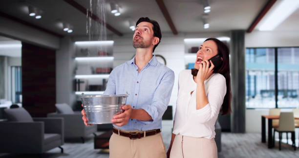 Best Ceiling water damage repair  in Treasure Lake, PA