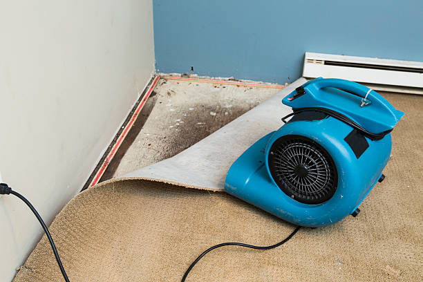 Water damage restoration insurance claims in PA